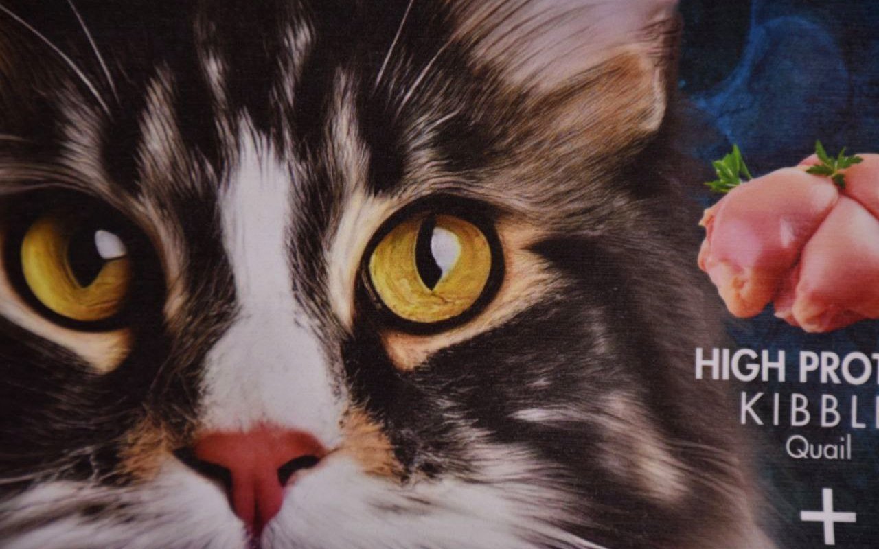 Empaque kraft pet food premium con impresión rotograbado high-definition